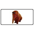 thumbnail image 1 of Snuffaluffagus Photo License Plate, 1 of 1