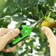 thumbnail image 3 of Herramientas de Jardín para Tijeras de Jardinería Poda de Árboles Frutales Y Tijeras de Verduras, 16.7x4.4x1.5cm Herramienta de Acero Inoxidable Verde Claro, Almacenamiento de Herramientas de Jardín P, 3 of 6