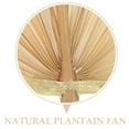 thumbnail image 6 of Hand-Woven Banana Fan, Natural Wooden Summer Cooler, 6 of 8