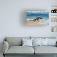 thumbnail image 2 of Peter Stahl 'From The Sea' Canvas Art, 2 of 4