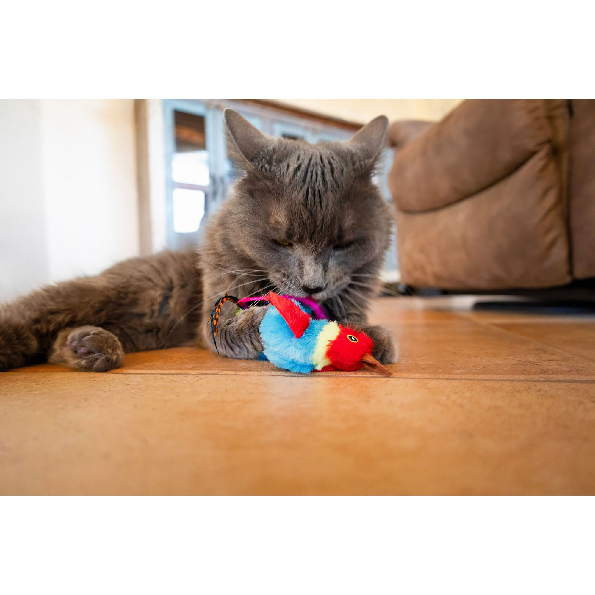 Vibrant Life Catnip Feather Birds Cat Toys, Parrot and Toucan 2 Count