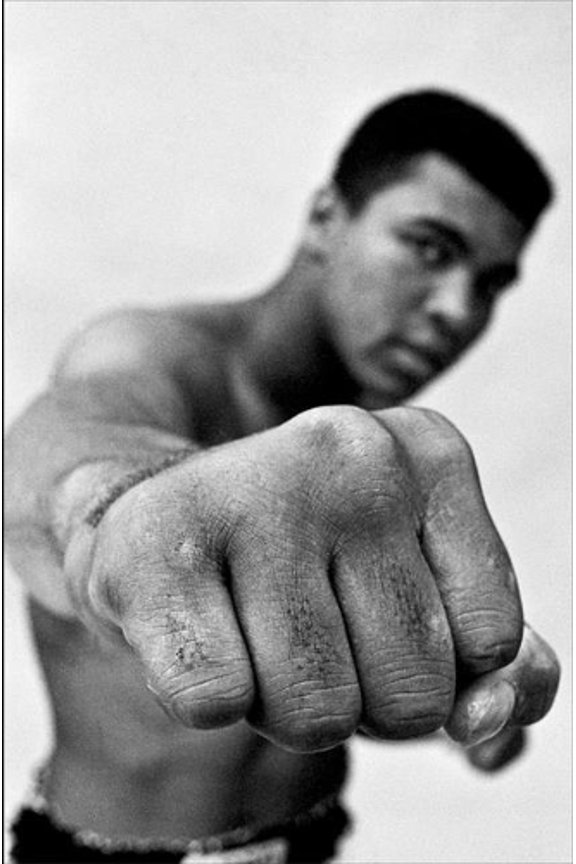 Pre-Owned Ali: A Life