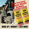 thumbnail image 3 of Viter Energy Mints 40mg Caffeine & B Vitamins, Cinnamon - 120 Count (6 Pack), 3 of 11