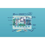 Snap Circuits® Beginner SCB20 | Electronics Science Kit | Exploration STEM Kit for Ages 5+