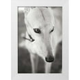 thumbnail image 3 of Karyn Millet 4x24 White Modern Wood Framed Wall Art Titled - Greyhound, 3 of 5