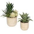 thumbnail image 3 of Uttermost Seaside Succulents Coastal Ceramic Flower Pot in Tan (Set of 2), 3 of 5
