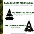 thumbnail image 5 of Fraser Hill Farm Foxtail Pine Christmas Tree, 6.5 feet Tall Faux Tree Includes Remote Control Multi-Color Clear LED Lights with Easy to Connect Functions FFFX065-6GR, 5 of 6