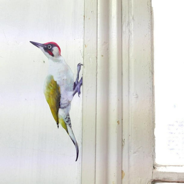 Woodland hotsell woodpecker shoes