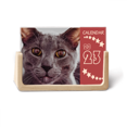 thumbnail image 1 of Animal Big Eye Gray Cat Photograph Desk Calendar Desktop Decoration 2023, 1 of 3