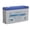 Gray & Blue, variant on Powersonic PS-6100F1 - 6 Volt/12 Amp Hour Sealed Lead Acid Battery with 0.187 Fast-on Connector