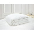 thumbnail image 1 of Couette en duvet de canard blanc du Lac Brome, Canada, 1 of 7