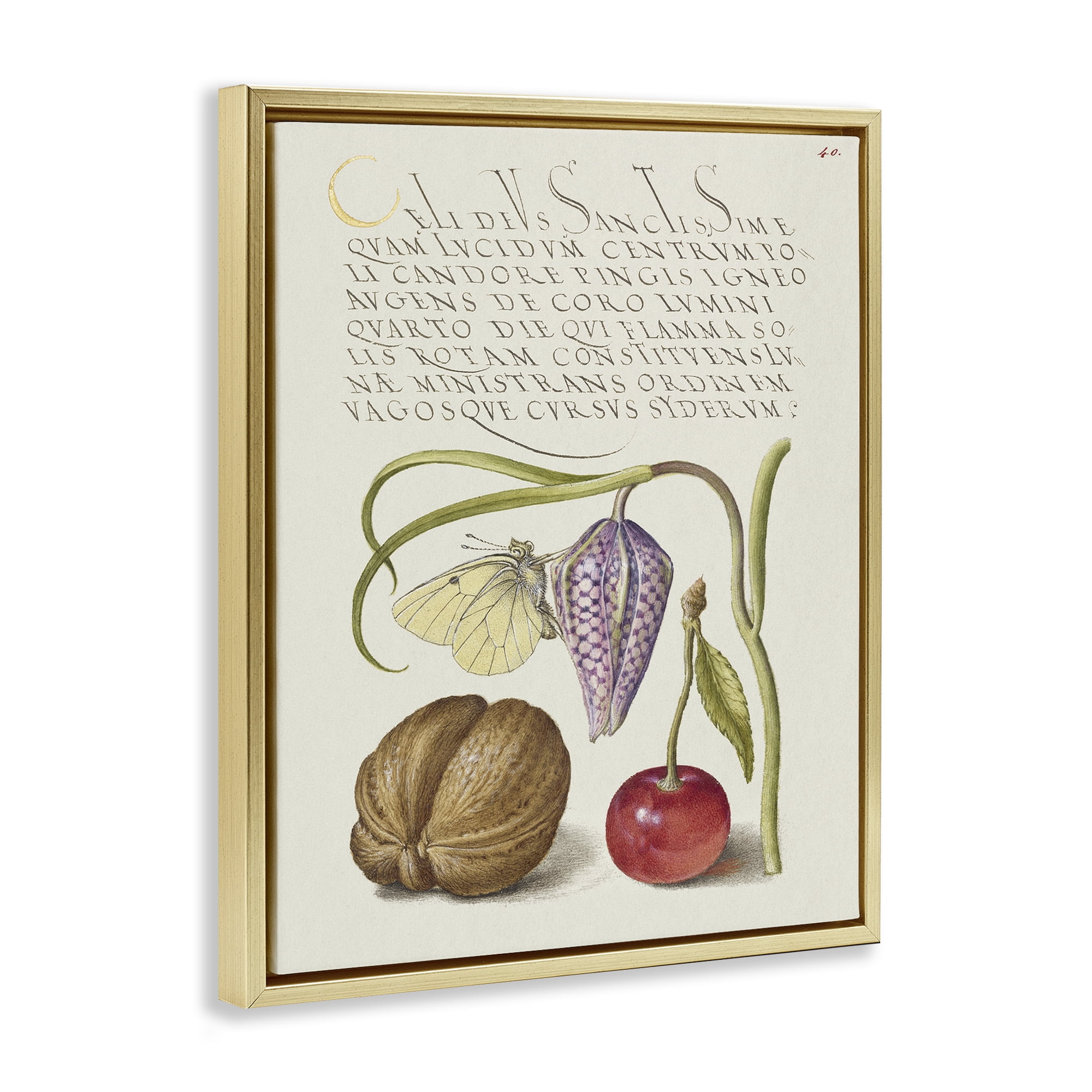 Stupell Industries Woodland Flora Study Text & Numbers Painting Gold Floater Framed Canvas Art Print Wall Art, 17 x 21