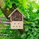 thumbnail image 5 of Casa De Insectos, 5 of 7