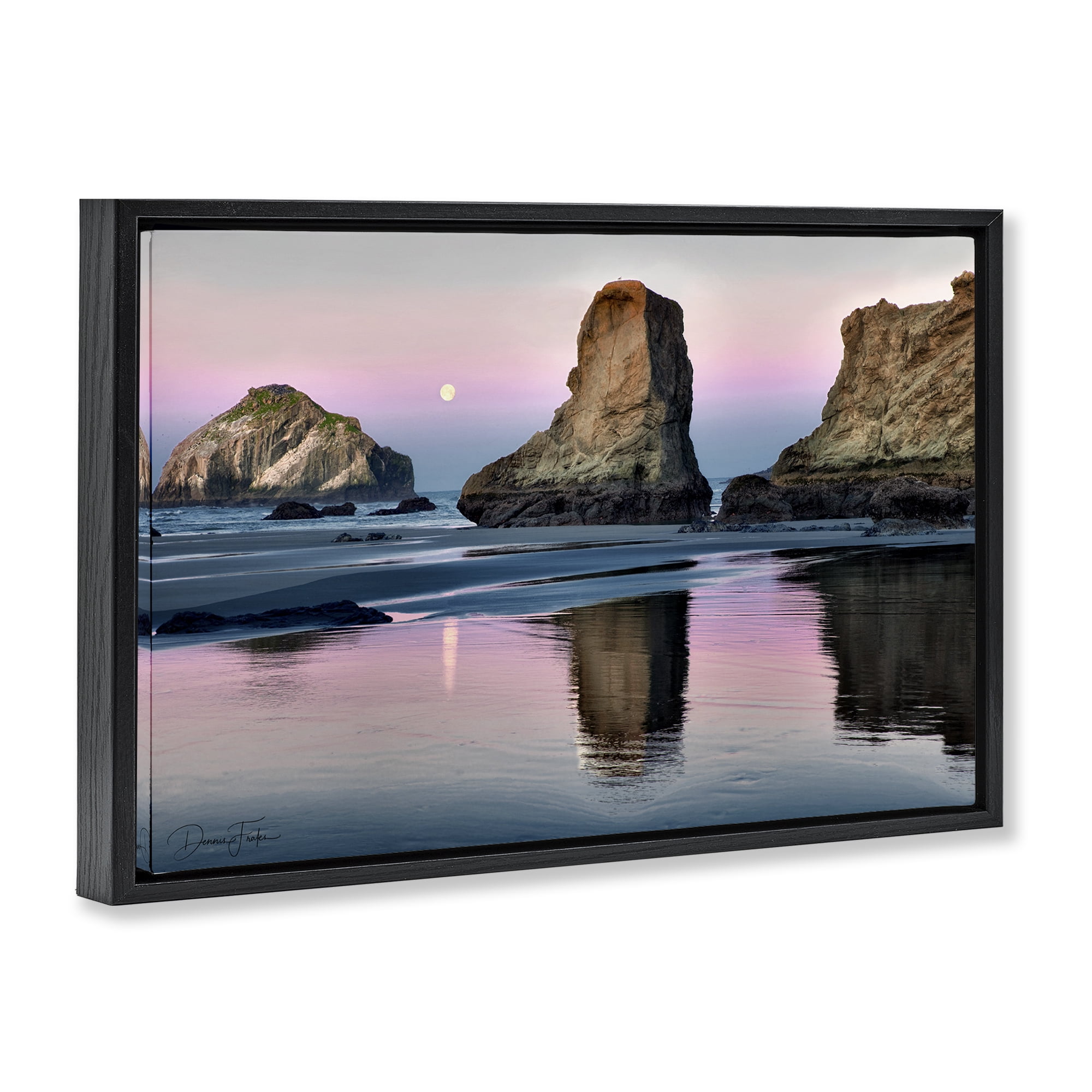 Stupell Industries Moonlit Beach Cliffs Landscape Photography Black Floater Framed Canvas Art Print Wall Art, 31 x 21