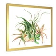 thumbnail image 2 of Designart 'Tropical Leaves Air Plant Succulent On White' Farmhouse Framed Art Print, 2 of 4