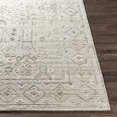 thumbnail image 3 of Hauteloom Dubbo Living Room, Bedroom Area Rug - Traditional - Gray, Beige - 2' x 3', 3 of 9