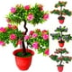 thumbnail image 1 of Gwong Decoración hogareña Artificial Rose Flower Guest Greeling Pine Plant Pot Home Desktop Office Decor Gwong 21037528, 1 of 7
