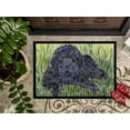 thumbnail image 3 of Caroline's Treasures SS8872JMAT Paillasson Terre-Neuve 24 x 36 Po, 3 of 4
