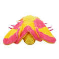 thumbnail image 5 of Realistic Rosy Maple Moth Stuffed Animal Plush Toy, Lifelike Animal Plushies, Simulation Rosy Maple Moth Doll, 5 of 8