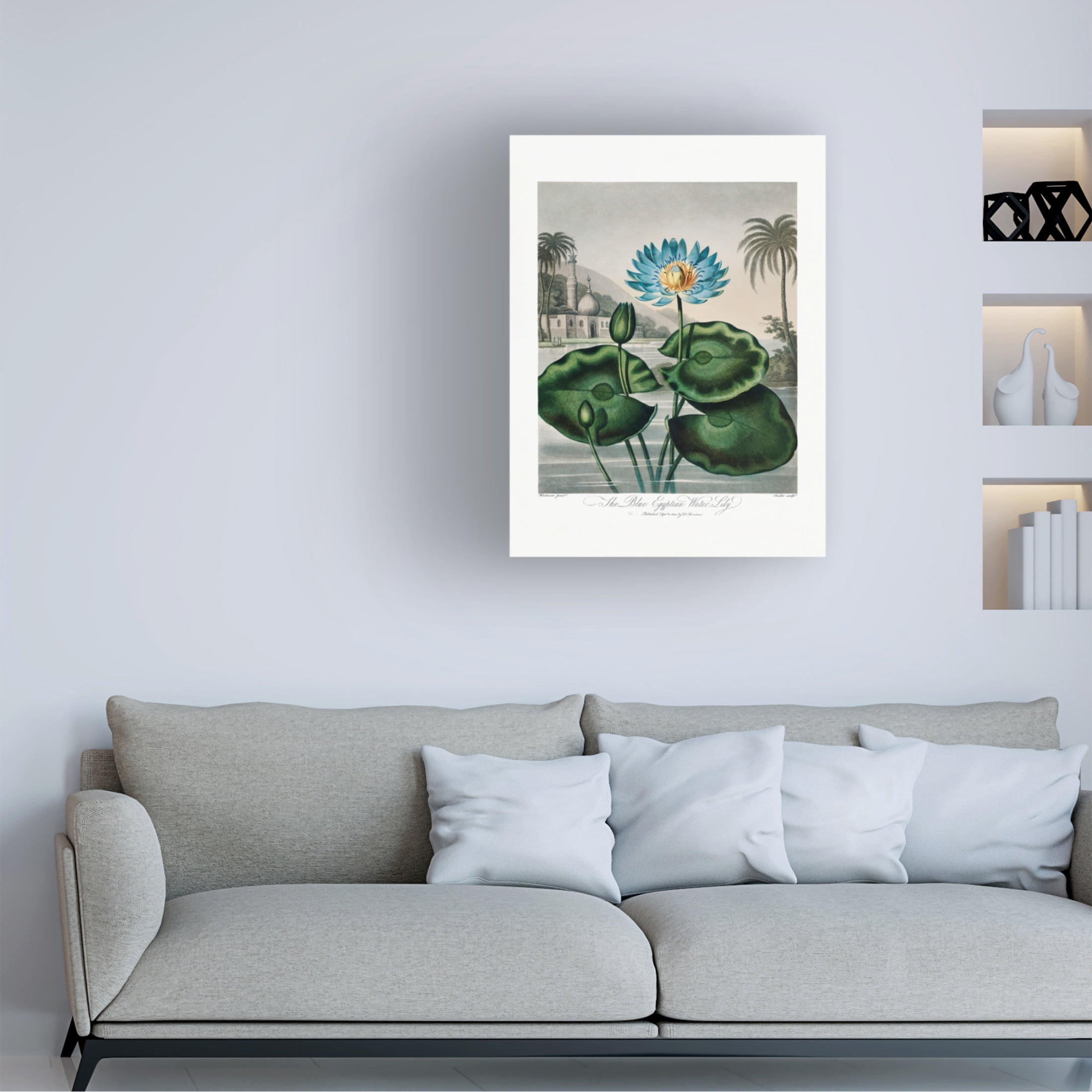 Trademark Fine Art Pictufy The Blue Egyptian Water Lily from The Temple of Flora 1807 Canvas Wall Art