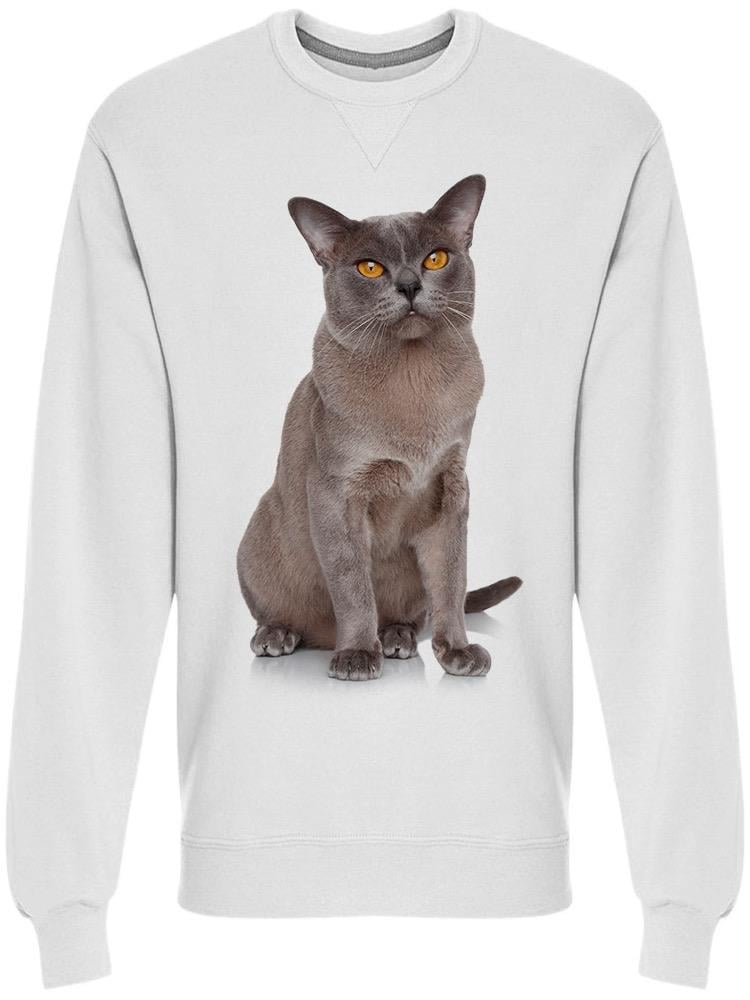 Cat looking sweatshirt Clearance