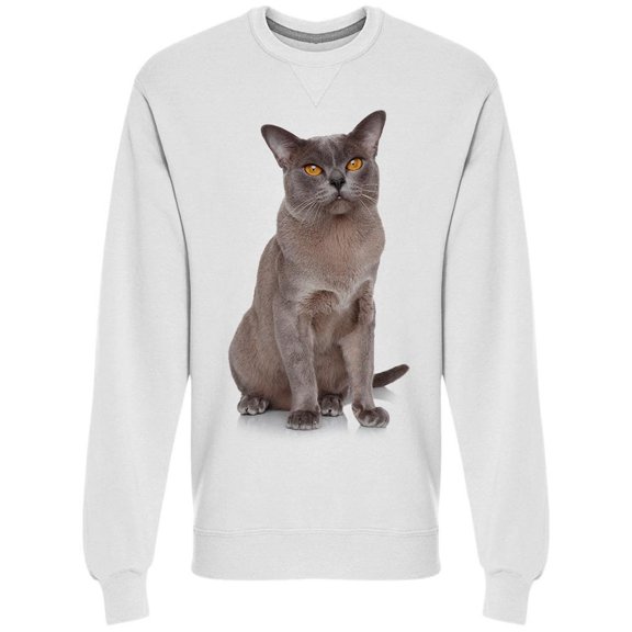 Cat Portrait Looking At Front Sweatshirt Men -Image by Shutterstock Men Sweatshirt, Male XX-Large