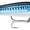 HD Silver Blue Mackerel, variant on RAPALA X-Rap Magnum Xtreme 160mm, HD Bigeye Scad Lures