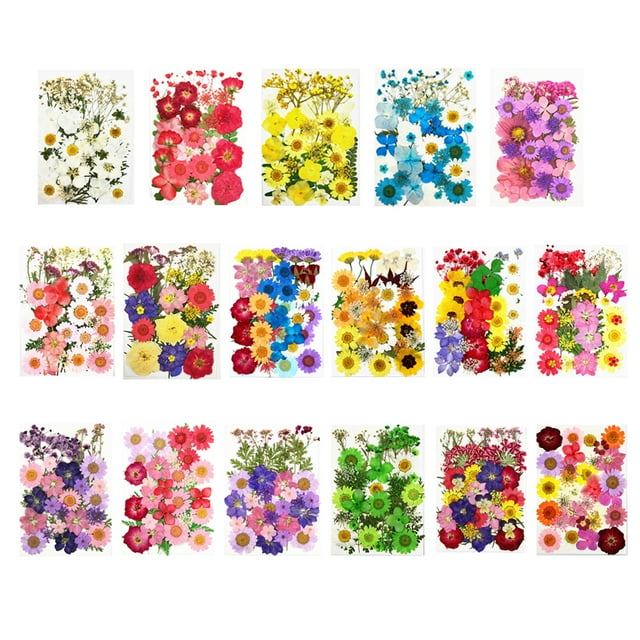 Dried Flowers Set Scrapbooking Decorating Real flower material; Flower Decal Handicraft Filling Pressed Specimen Label for Makeup Phone Use Type 3