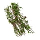 thumbnail image 4 of Conjunto De 2 Modelos De Plantas de En Miniatura Para Accesorios De Modificación De Bricolaje De Paisaje, 4 of 7