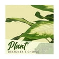 thumbnail image 2 of Foo-te's Flowers - Plant Designer's Choice - Deluxe, 2 of 2