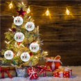 thumbnail image 3 of fastboy Personalized Survived Family Ornament Christmas Tree Hanging Pendant for Christmas Tree Decor, 3 of 6