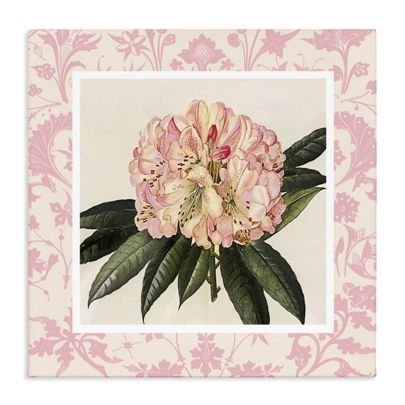 Stupell Industries Pink Pattern Botanical Canvas Wall Art, design by Livi Finn