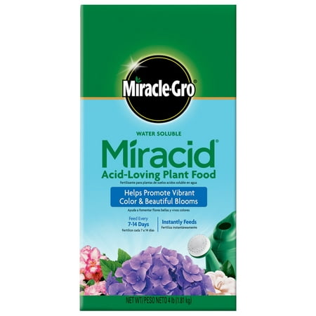 Miracle Gro 4 lb. Water Soluble Miracid Acid-Loving Plant (Best Fertilizer For Acid Loving Plants)
