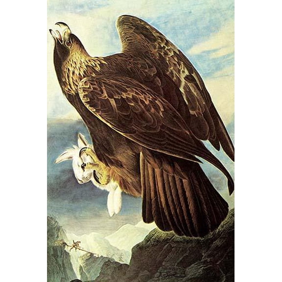 Golden Eagle-Fine art canvas print (20" x 30")