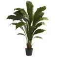 thumbnail image 1 of Nearly Natural 6739 Plante Nid d'Oiseau, 3,5 Pieds, Vert, 1 of 3