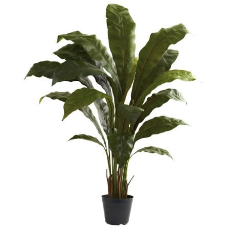 Nearly Natural 6739 Plante Nid d'Oiseau, 3,5 Pieds, Vert