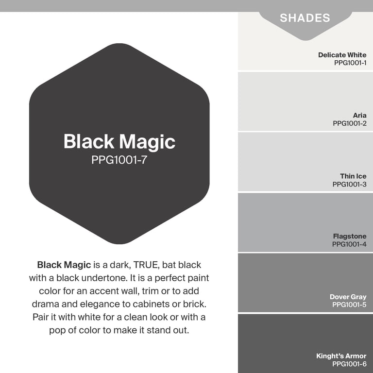 Glidden Fundamentals Black Magic Flat Exterior Paint & Primer photo 2