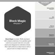 Glidden Fundamentals Black Magic / Black Satin Exterior Paint, 1 Gallon