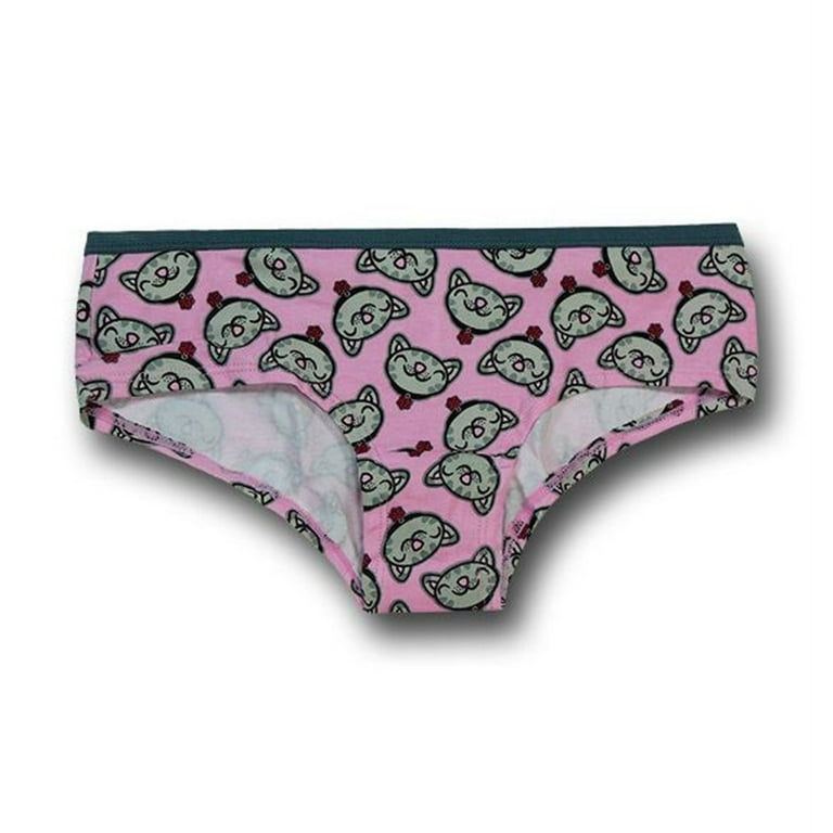 Big Bang Theory Soft Kitty Women's Hipster Briefs 3-Pack-Large