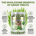 thumbnail image 6 of Natural Cat Grass Treats for Indoor Cats, 120g Freeze Dried Cat Grass Cubes for Hairball Control and Digestion Support, Essential Cat Grass Supplement for Dental Health and Daily Wellness, 6 of 11