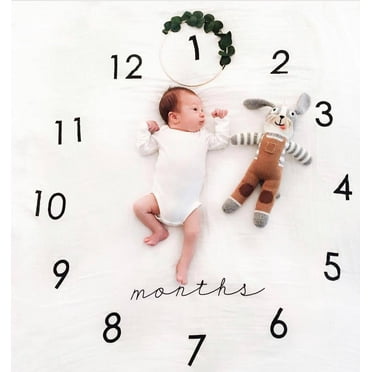 Roofei Baby Monthly Milestone Blanket Boy and Girl, Unisex Memory Blanket for Newborn Baby Shower, Plush Month Blanket for Nursery, Baby Growth Chart Blanket, 40"x40"