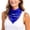 Blue, variant on Neck Scarf for Women and Men Custom Text Print on Elegant Scarf Unique Fashion Accessory for Any Occasion Shawl for Dress Red,One Size