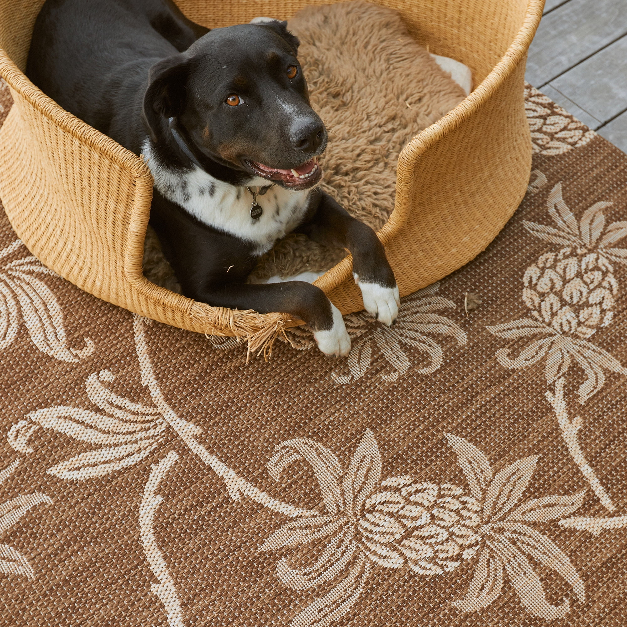 Reyn Spooner Tradewinds Hala Indoor/ Outdoor Polypropylene Havana Flat Weave Area Rug, 5x8