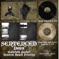 thumbnail image 2 of Down (LP), 2 of 2