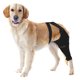 thumbnail image 1 of Funda Joypig para piernas de perro, parte trasera izquierda, negra, talla M, 1 of 7