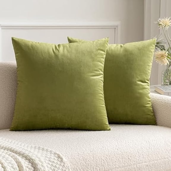 Eryueer Velvet Cushion Covers Soft Decorative Square Throw Pillow Case Pillowcases for Livingroom Sofa Bedroom with Invisible Zipper 16"x16" 40cm x 40cm 2 Pieces Green