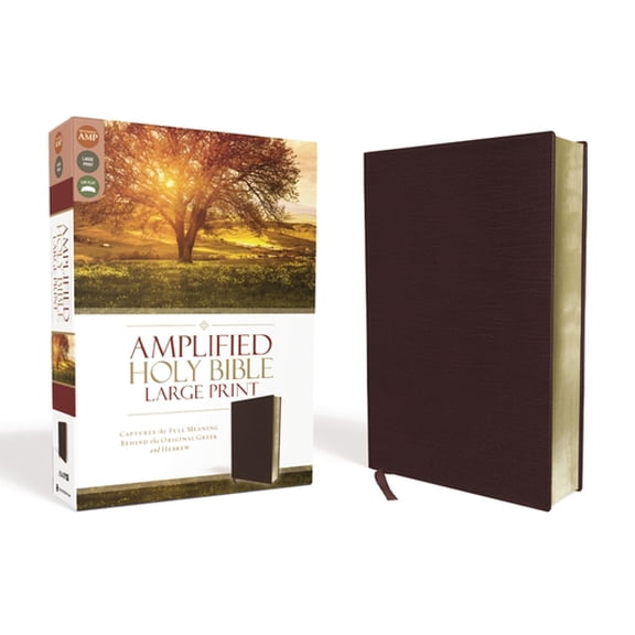 Pre-Owned Amplified Bible-Am-Large Print: Captures the Full Meaning Behind the Original Greek and Hebrew (Large Print) (Hardcover)