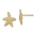 thumbnail image 4 of 14k Yellow Gold Textured Starfish Post Earrings, 4 of 7