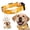 Yellow Spring, variant on Art Tribute Wide Adjustable Dog Collar for Small, Medium, and Large Dogs- Blue Woven, Large