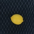 thumbnail image 2 of Filet pour Oiseaux Filet de Jardin Réutilisable Anti Filet pour Oiseaux Protège Plantes Fruits Arbres;Filet pour Oiseaux Filet de Jardin Réutilisable Anti Filet pour Oiseaux Protège Plantes Fruits, 2 of 6
